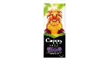 Cappy kids